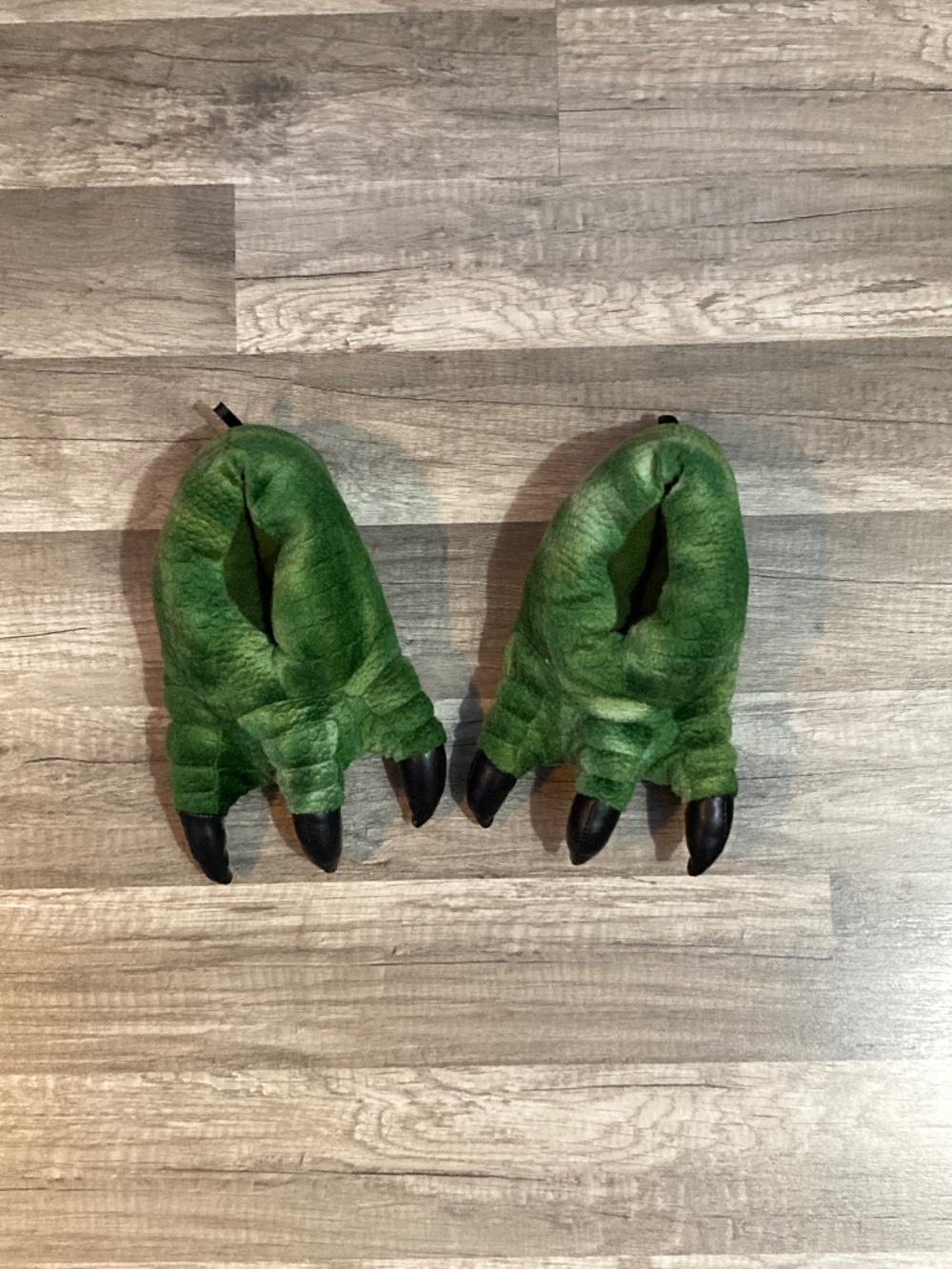 Dino slippers